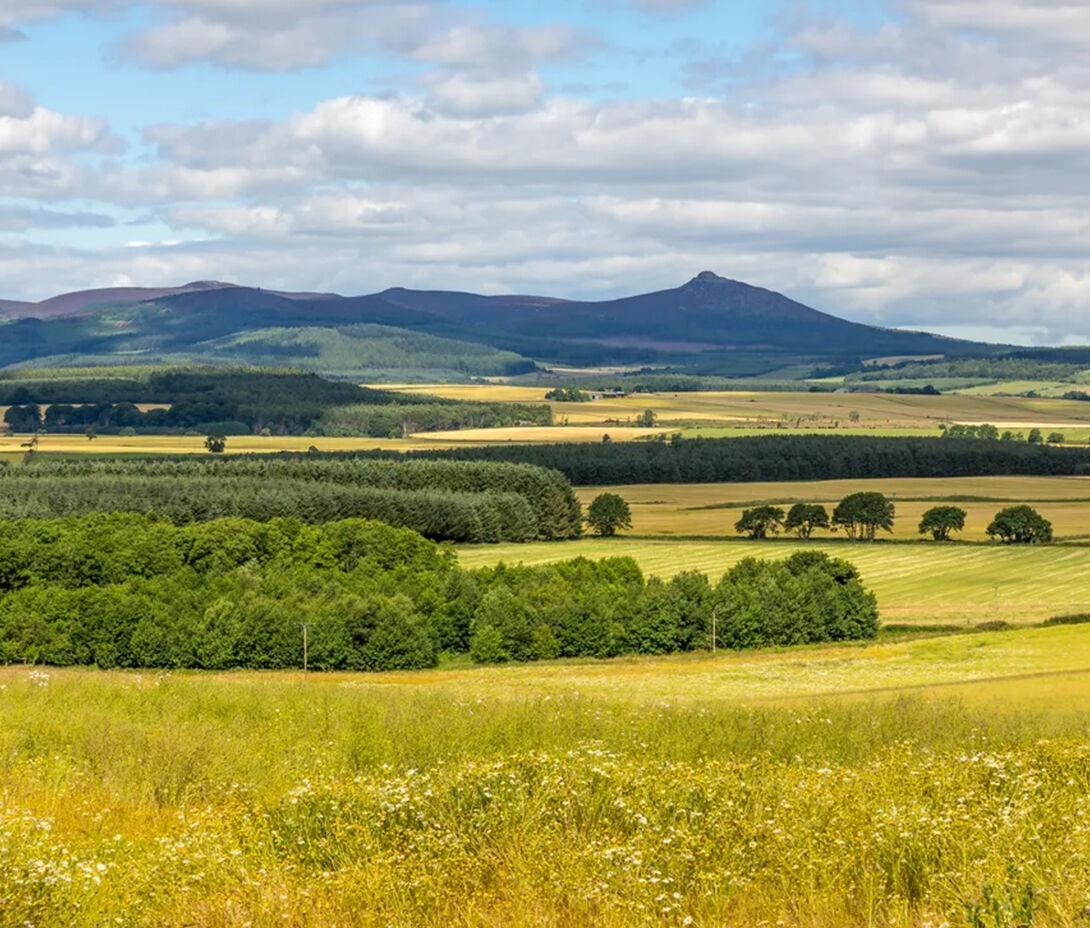 Bennachie